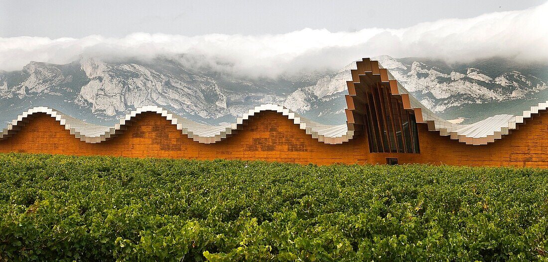Ysios winery building  Alava  Basque country  Spain