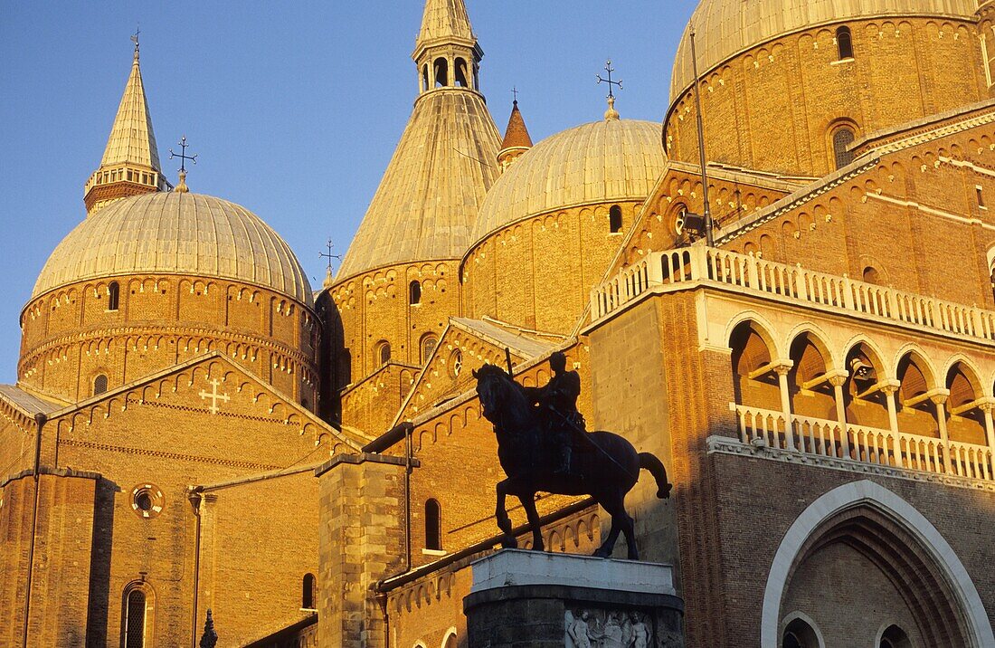 Basilica of Saint Anthony  Padova  Veneto  Italy