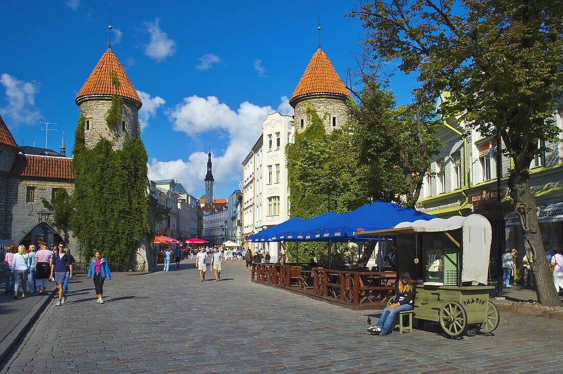 Viru street in old town of Tallinn Estonia