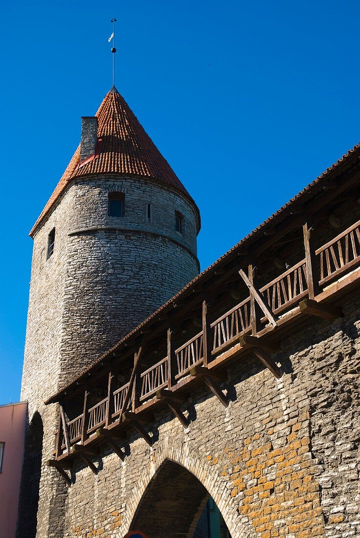 Loewenschede torn tower and defensive wall in the old town of Tallinn Estonia Europe