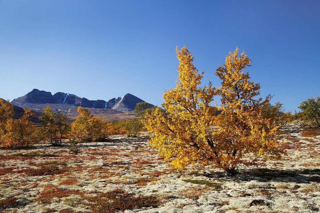 Photo Joergen Larsson Dörålseter Rondane Norway