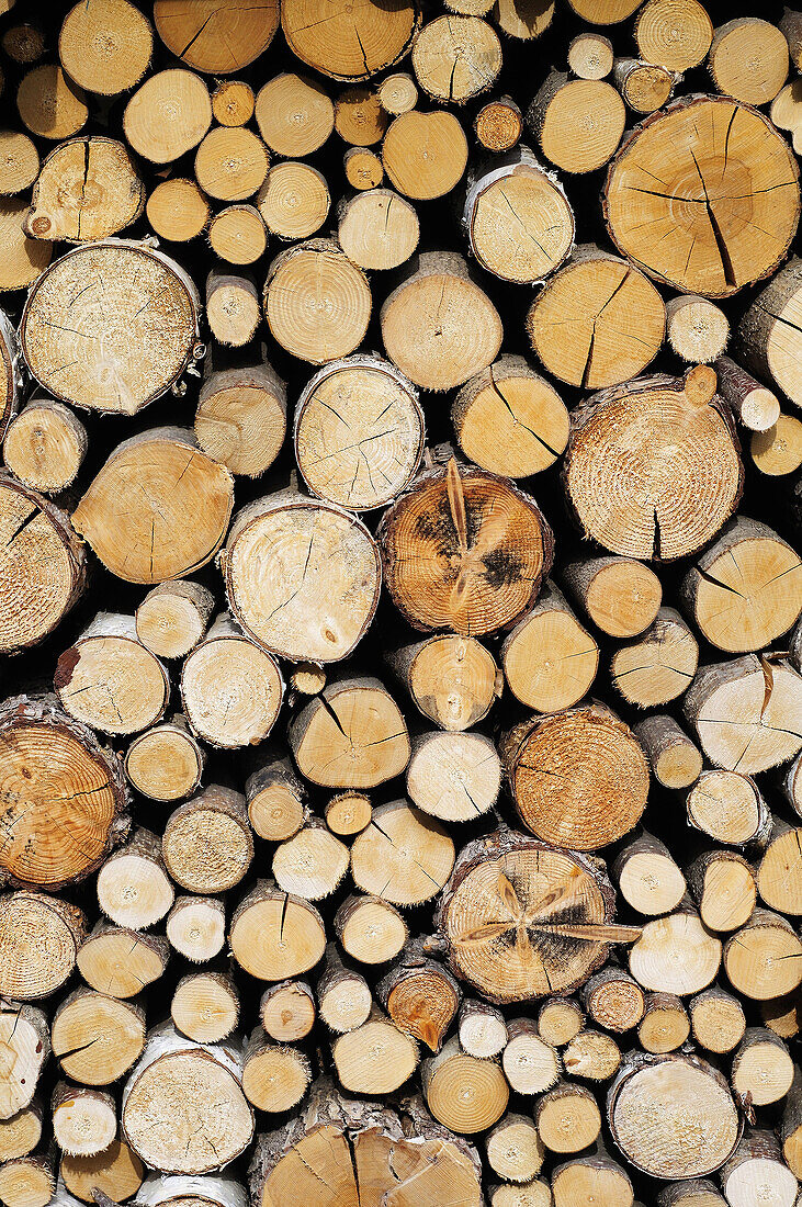 Italy, Valle Aosta, Stored Wood