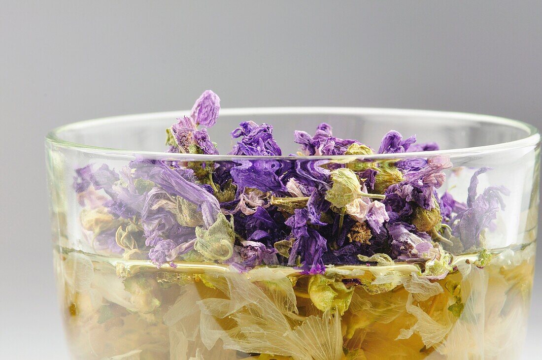 Dried Mallow Flowers Herbal Infusion