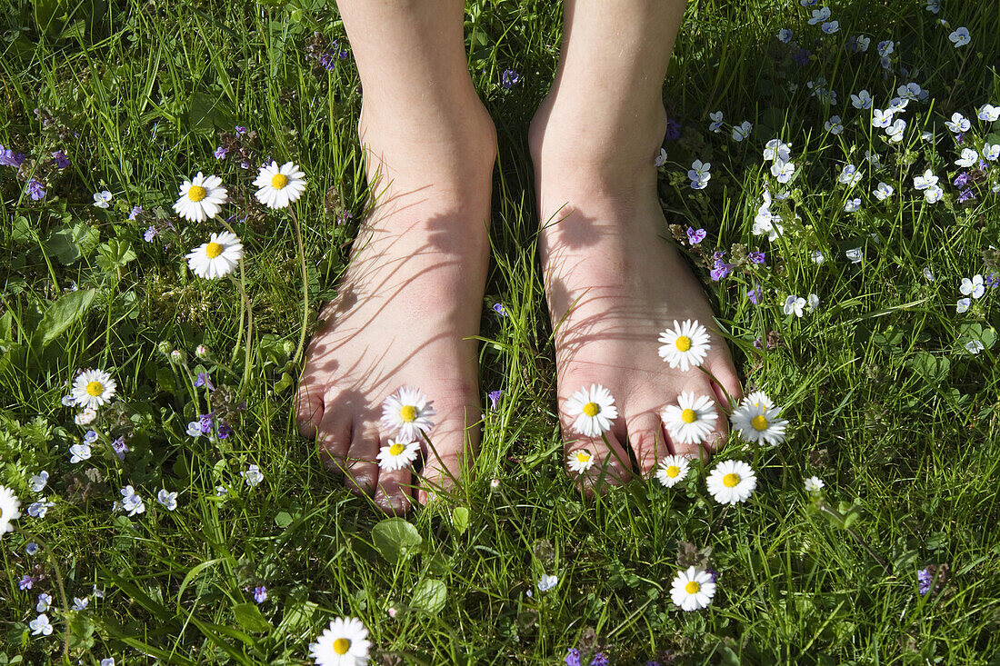 Child's feet in a meadow full of daisies, Bavaria, Germany