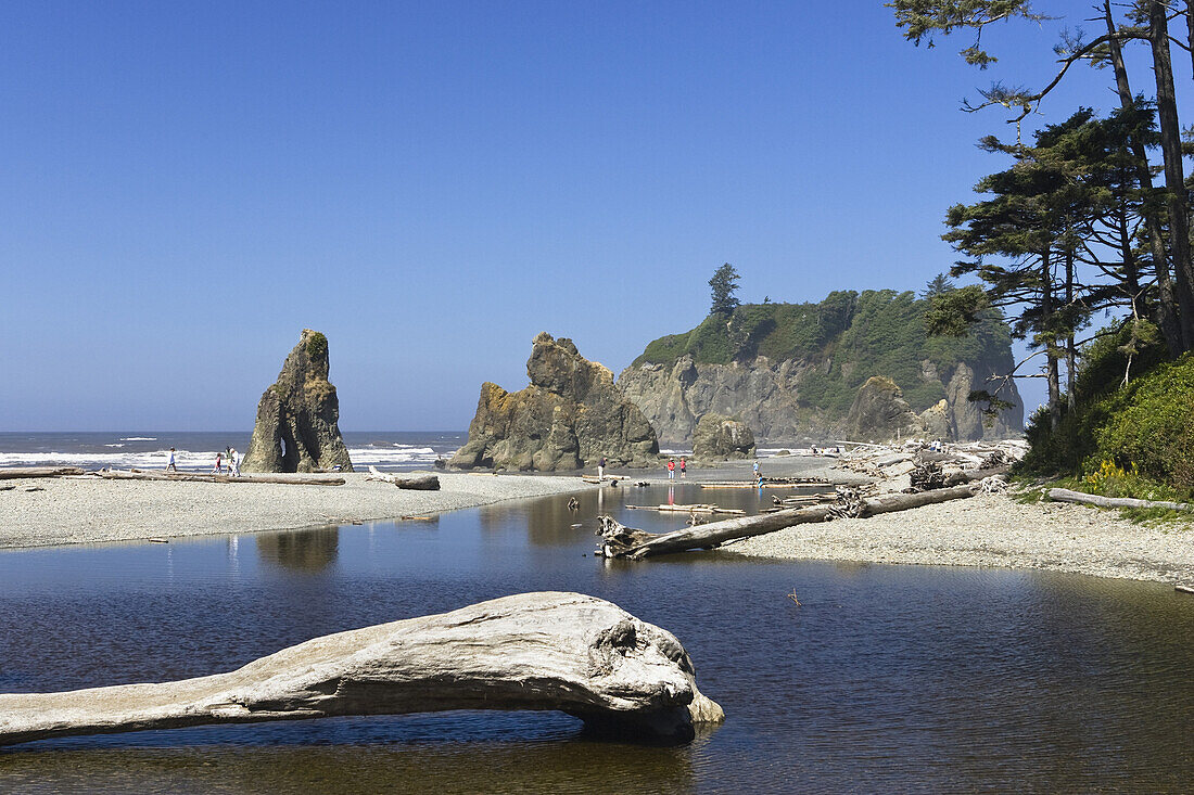 Westküste, Pazifik, Olympic Peninsula, Washington, USA