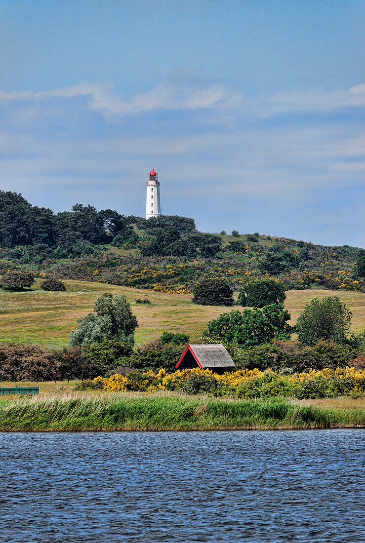 View over Vitter Bodden to Lighthouse Dornbusch, Hiddensee island, Mecklenburg-Vorpommern, Germany