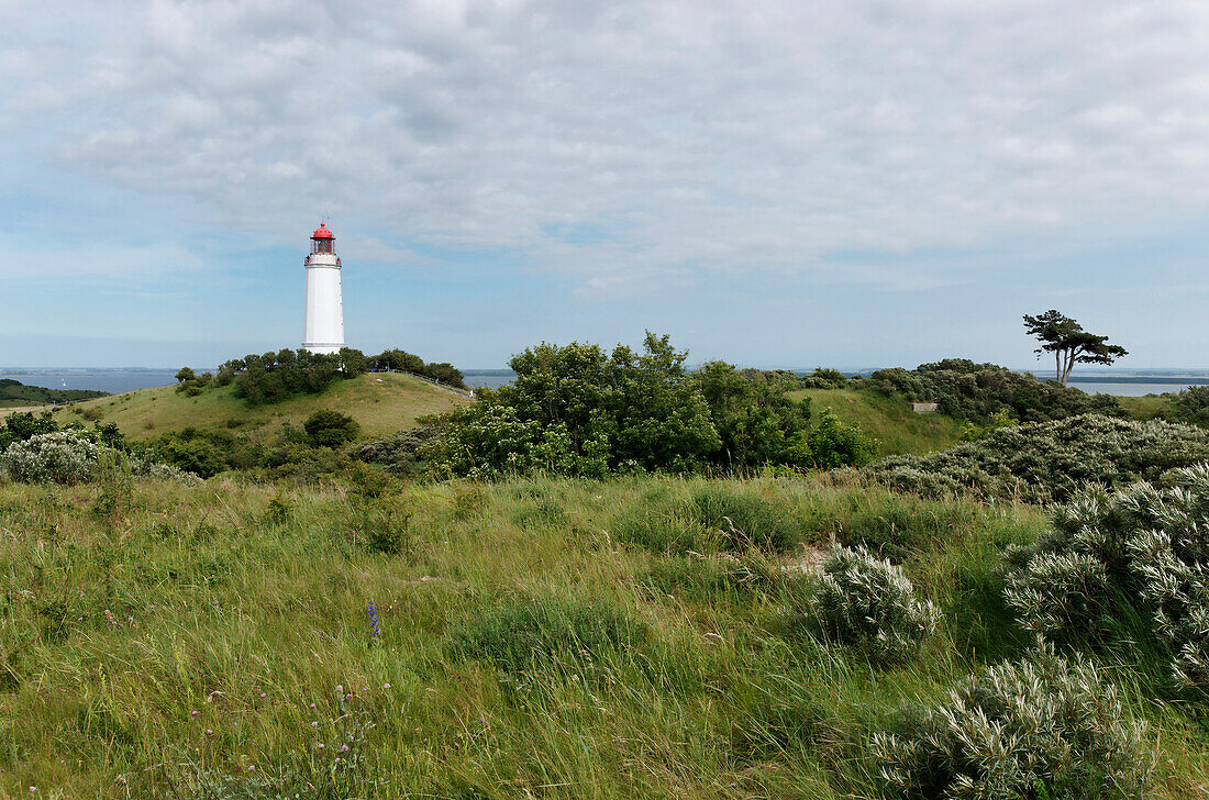 Lighthouse Dornbusch, Hiddensee Island, Mecklenburg-Vorpommern, Germany