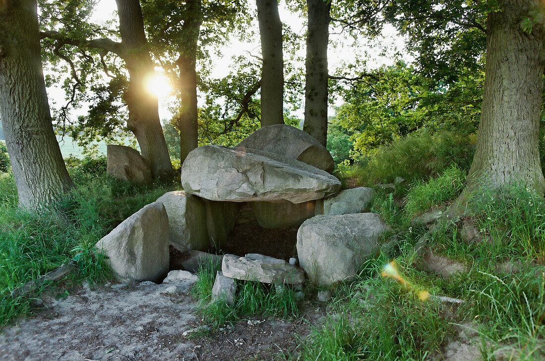 Grosssteingrab zwischen Bäumen, Lancken-Granitz, Rügen, Mecklenburg-Vorpommern, Deutschland, Europa