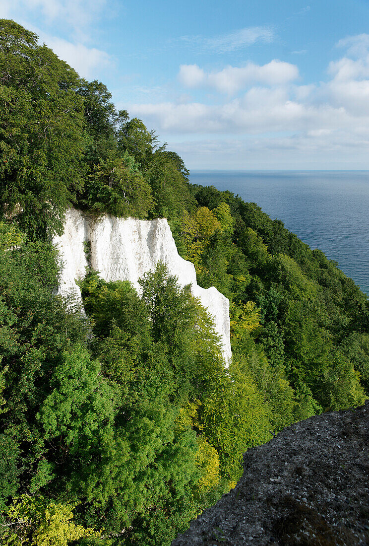 Kreidefelsen der Stubbenkammer im Sonnenlicht, Rügen, Mecklenburg-Vorpommern, Deutschland, Europa