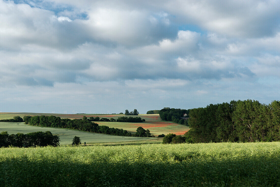 Landschaft unter Wolkenhimmel, Rügen, Mecklenburg-Vorpommern, Deutschland, Europa