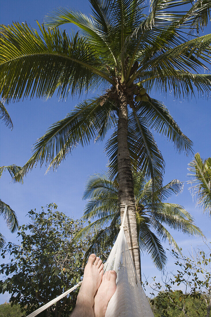 Feet of man relaxing in hammock at Xel Ha Water Park, near Tulum, Quintana Roo, Mexico