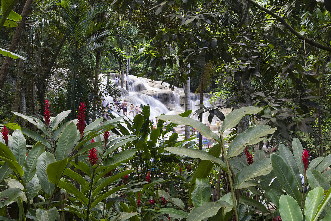 Tropischer Regenwald und Menschen beim Klettern der Dunn's River Falls Wasserfälle, Ocho Rios, St Ann, Jamaika, Karibik