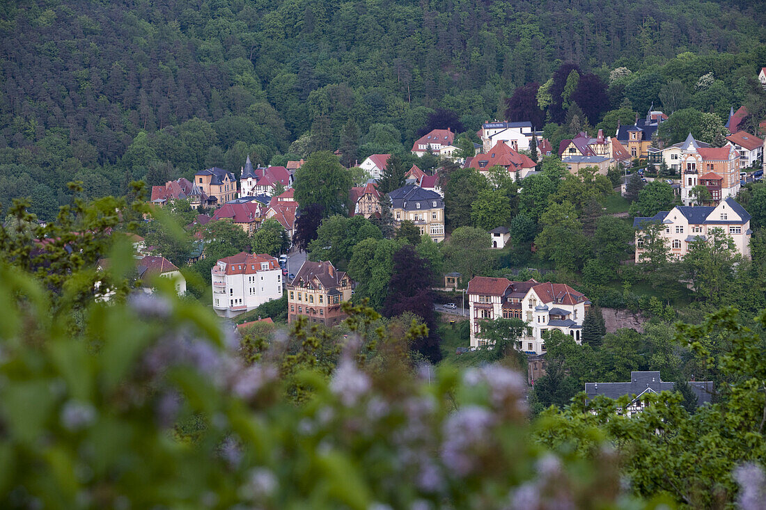 Blick von der Wartburg auf Villen im Jugendstil, Eisenach, Thüringen, Deutschland, Europa
