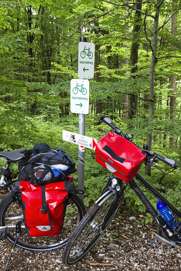 Bicycles on forest trails, Isar Cycle Route, Strasslach-Dingharting, Upper Bavaria, Germany