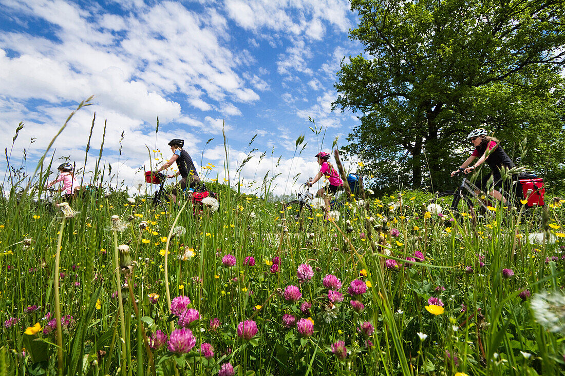 Fahrradtour, Isarradweg, Königsdorf, Oberbayern, Deutschland