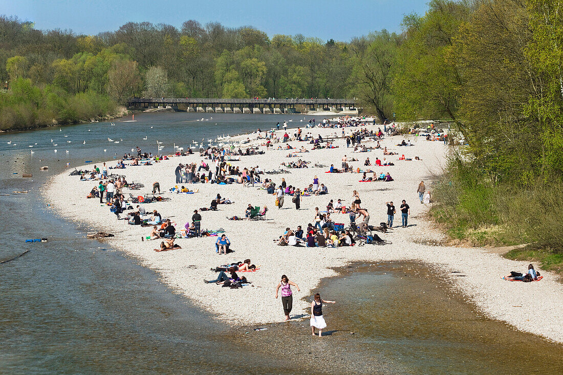 Gravel bank, Flaucher, Isar River, Munich, Bavaria, Germany