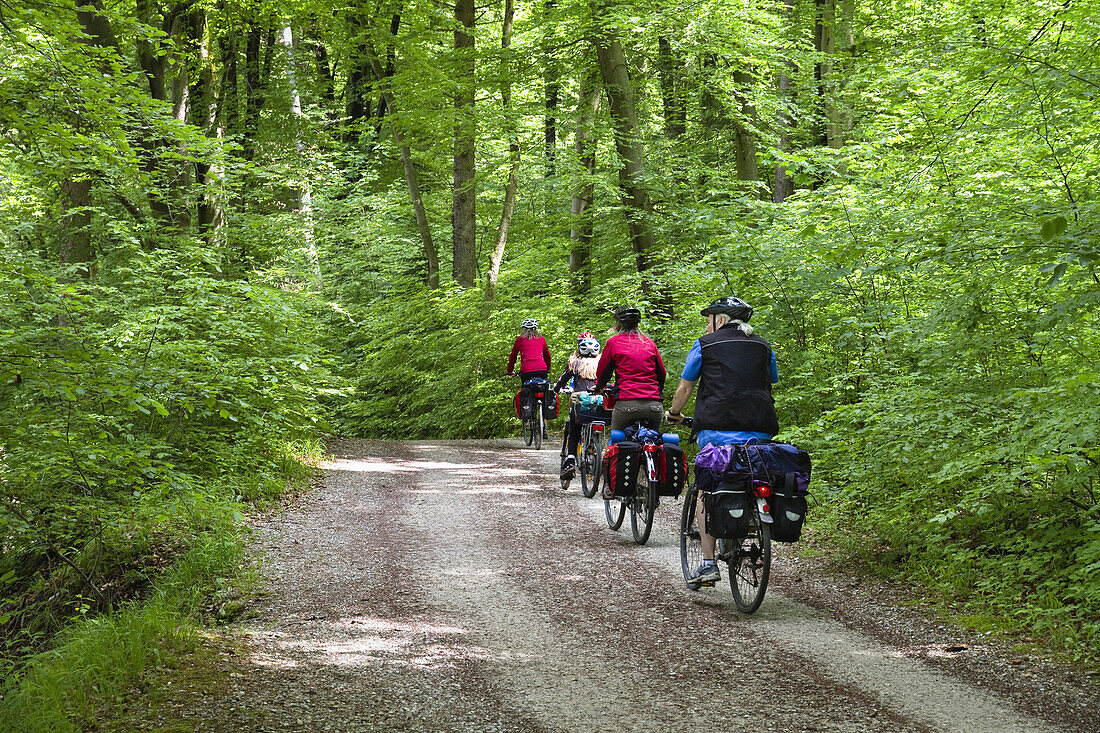Cycling tour, Isar Cycle Route, Grunwald, Upper Bavaria, Germany