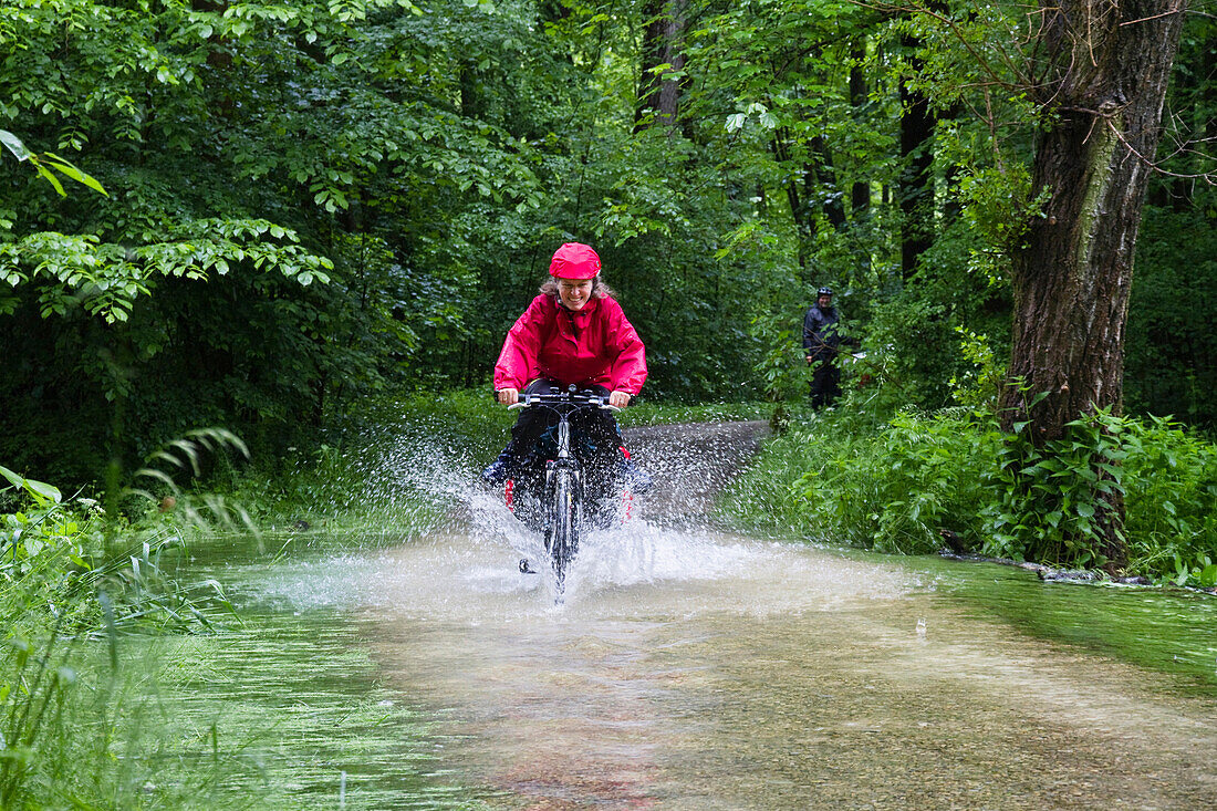 Cyclist passing flooded Isar Cycle Route, near Moosburg, Upper Bavaria, Germany