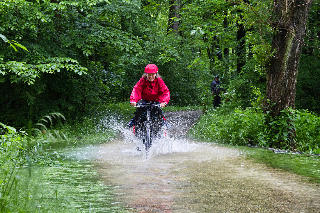 Fahrradfahrerin fährt über überschwemmten Isarradweg, Isarauen bei Moosburg, Oberbayern, Deutschland