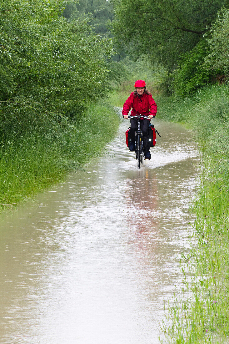 Fahrradfahrerin fährt über überschwemmten Isarradweg, Isarauen bei Moosburg, Oberbayern, Deutschland