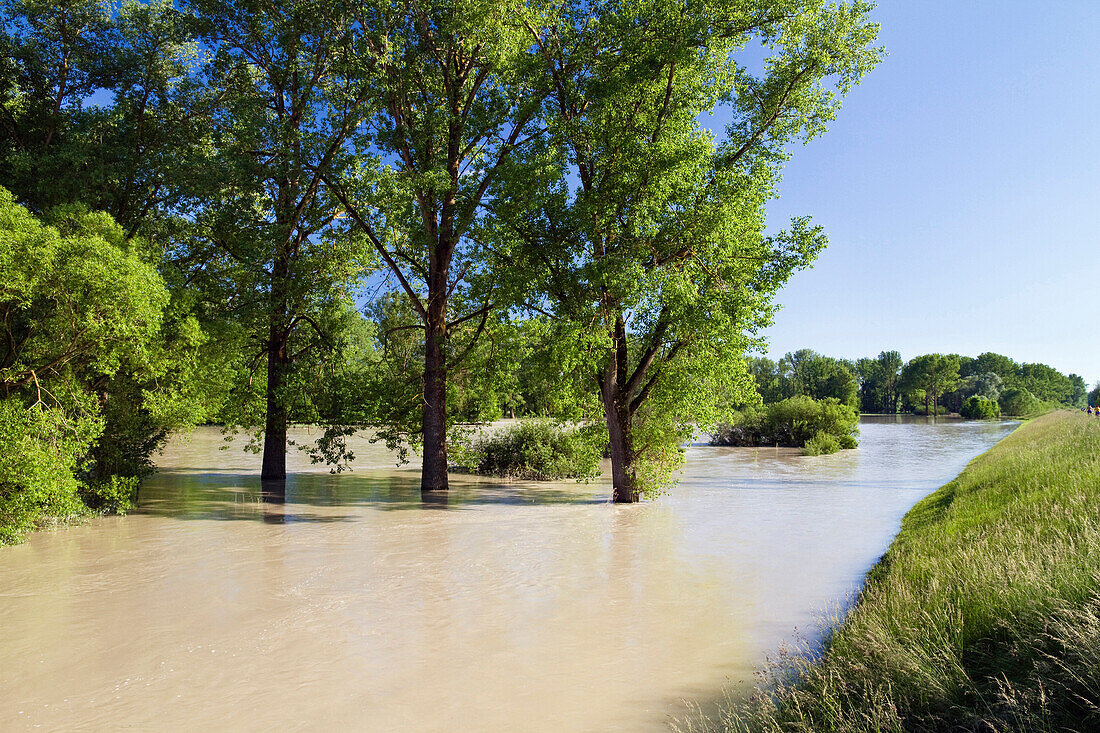 Isar Hochwasser, Plattling, Niederbayern, Deutschland