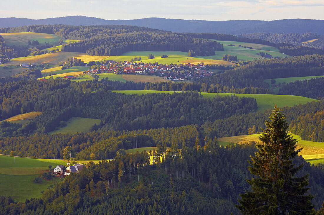 Blick von Breitnau nach St. Märgen, Schwarzwald, Baden-Württemberg, Deutschland, Europa