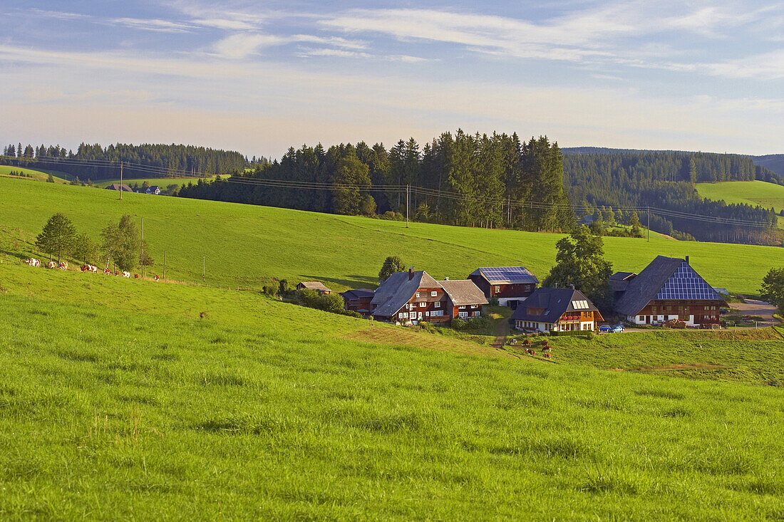 Bauernhof Oberfallengrundhof bei Gütenbach, Furtwangen, Südlicher Schwarzwald, Schwarzwald, Baden-Württemberg, Deutschland, Europa
