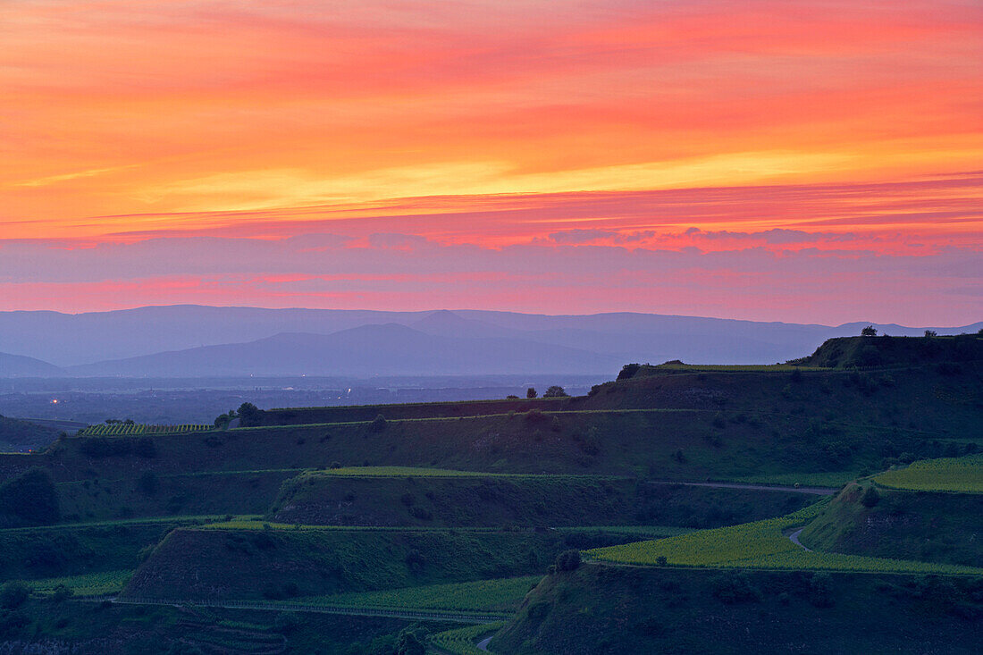 View over vineyards tot Vosges Mountains in sunset, Kaiserstuhl, Baden-Wurttemberg, Germany