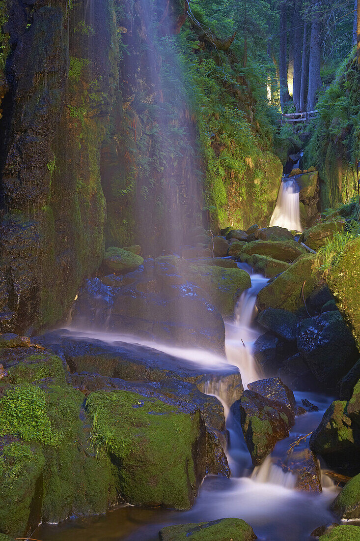 Wutachschlucht, Lotenbachklamm, Schwarzwald, Baden-Württemberg, Deutschland, Europa