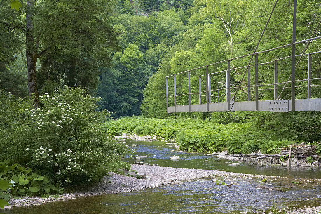 Beim Rümmelesteg in der Wutachschlucht, Schwarzwald, Baden-Württemberg, Deutschland, Europa