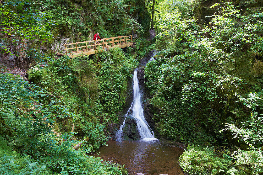 Wasserfall in der Lotenbachklamm, Wutachschlucht, Schwarzwald, Baden-Württemberg, Deutschland