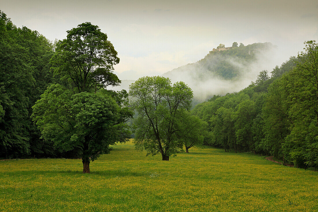 View to Hohenurach castle in mist, near Bad Urach, Swabian Alb, Baden-Württemberg, Germany