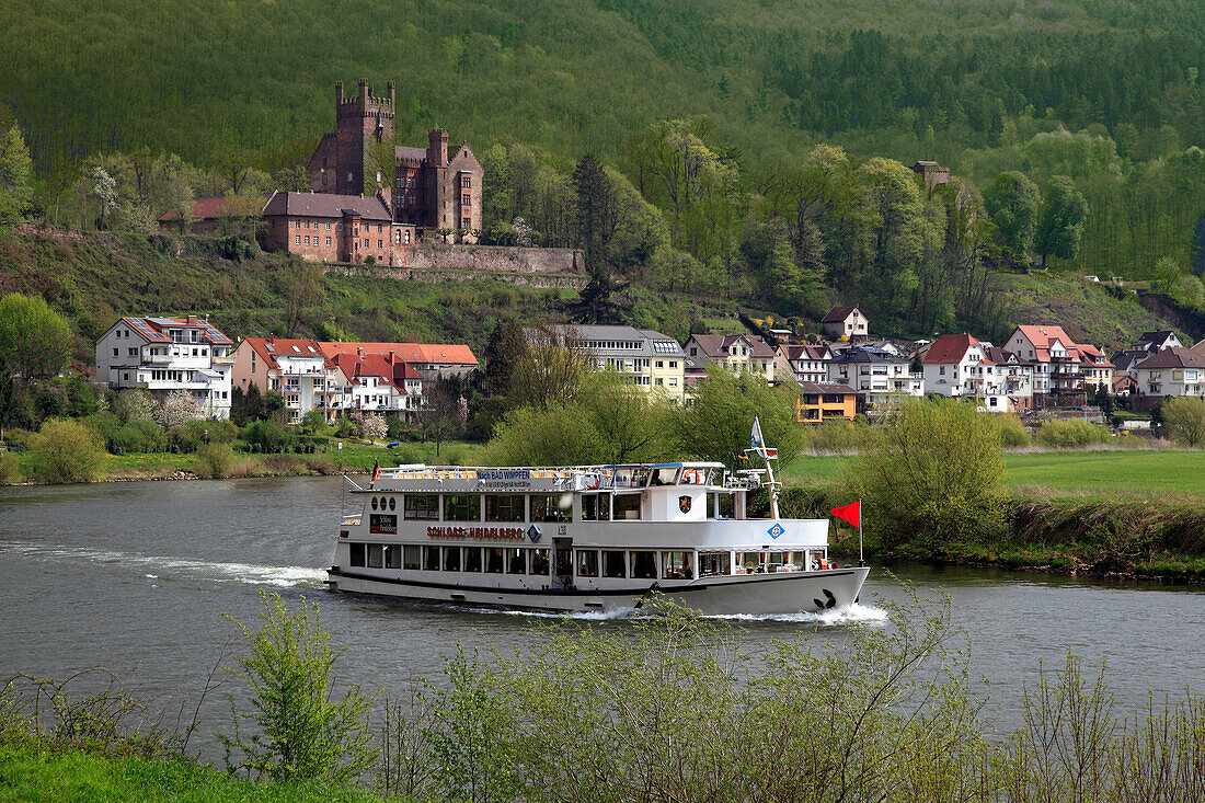 Excursion ship at Neckar river, view to Mittelburg castle and Vorderburg castle, Neckarsteinach, Neckar, Baden-Württemberg, Germany