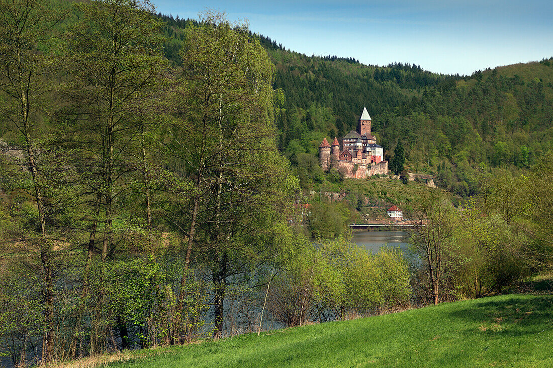 Blick über den Neckar zur Burg Zwingenberg, Neckar, Baden-Württemberg, Deutschland