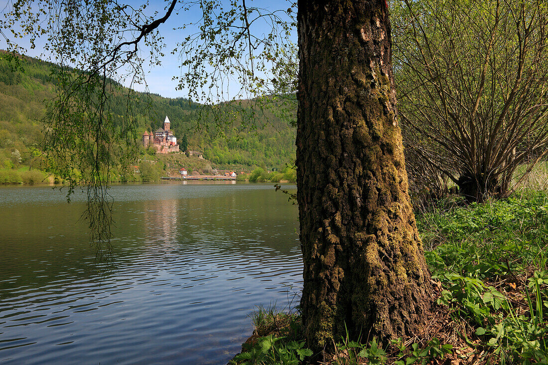 View over Neckar river to Zwingenberg castle, Neckar, Baden-Württemberg, Germany