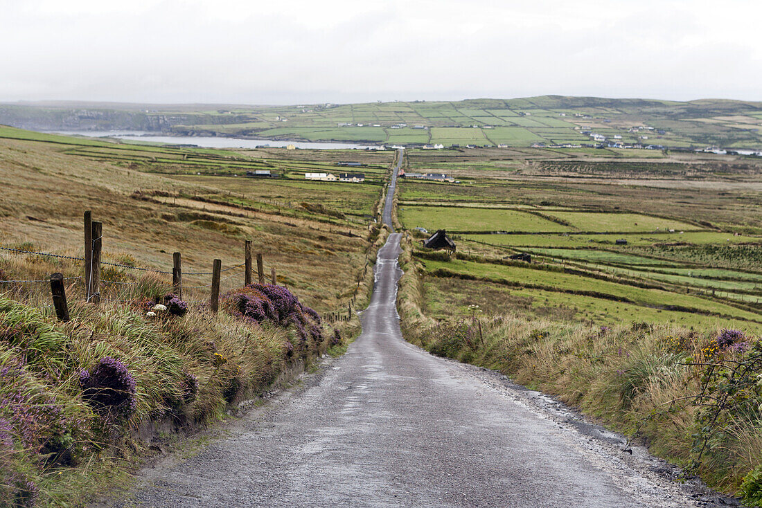 Road, Valentia Island, Iveragh Peninsula, Ring of Kerry, County Kerry, Ireland