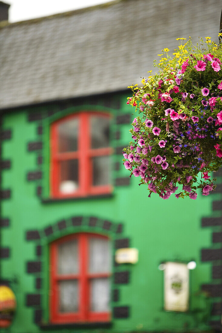 Colorful buidling and flowers in Macroom, Macroom, County Cork, Ireland