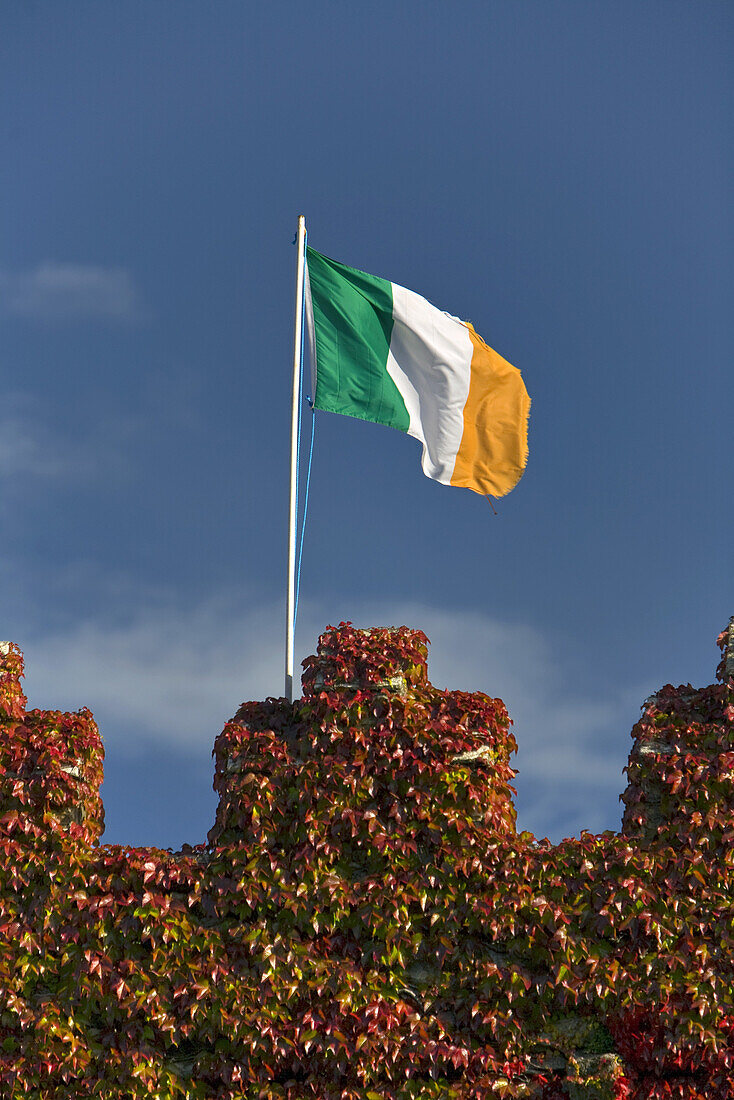 Irische Fahne auf dem Waterford Schloss, Waterford, Waterford County, Irland