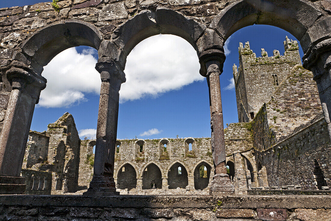 Blick auf den Kreuzgang von Jerpoint Abbey, Kilkenny, County Kilkenny, Irland