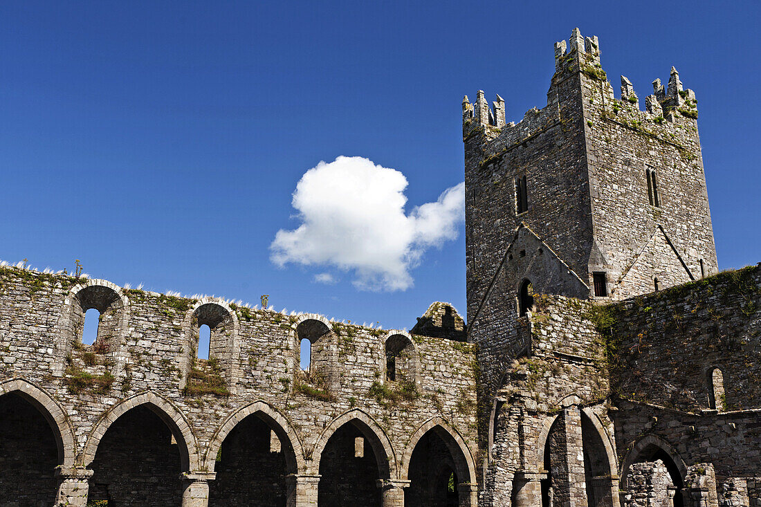 View of the cloister of the the Jerpoint Abbey, Kilkenny, Kilkenny County, Irland