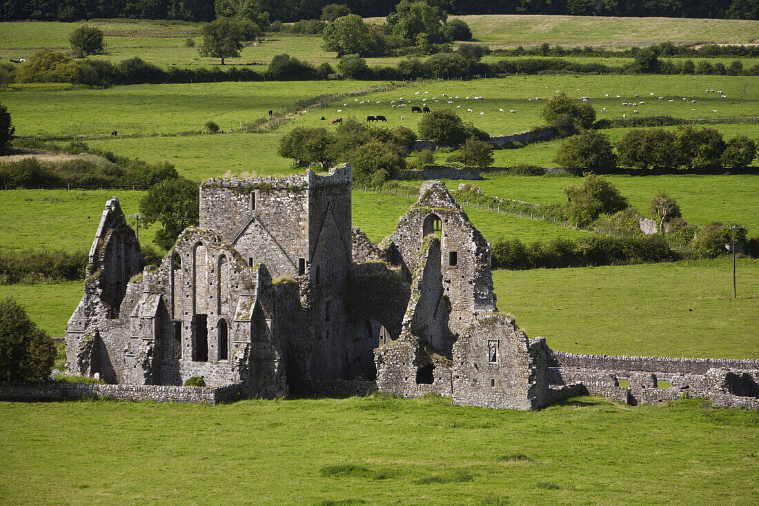 The Hoare Abbey seen from the Rock of Cashel, County Tipperary, Ireland