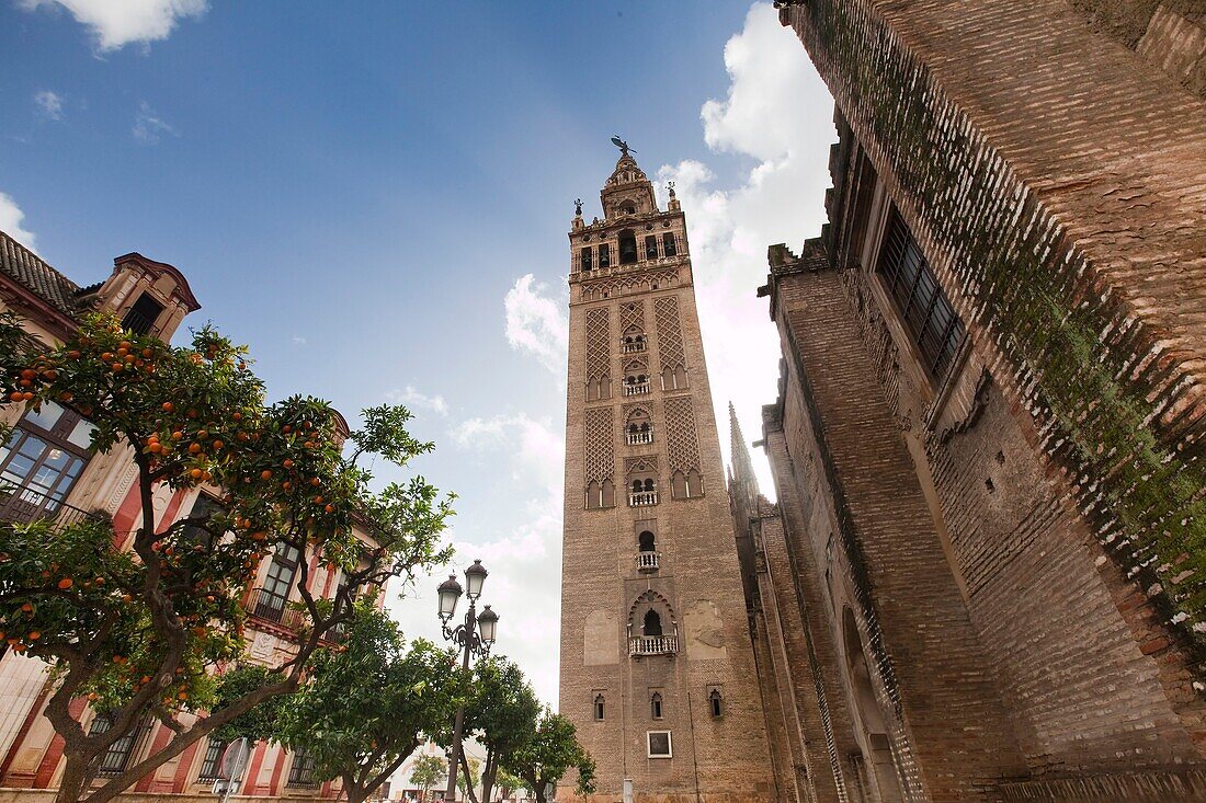 La Giralda, Sevilla, Spain