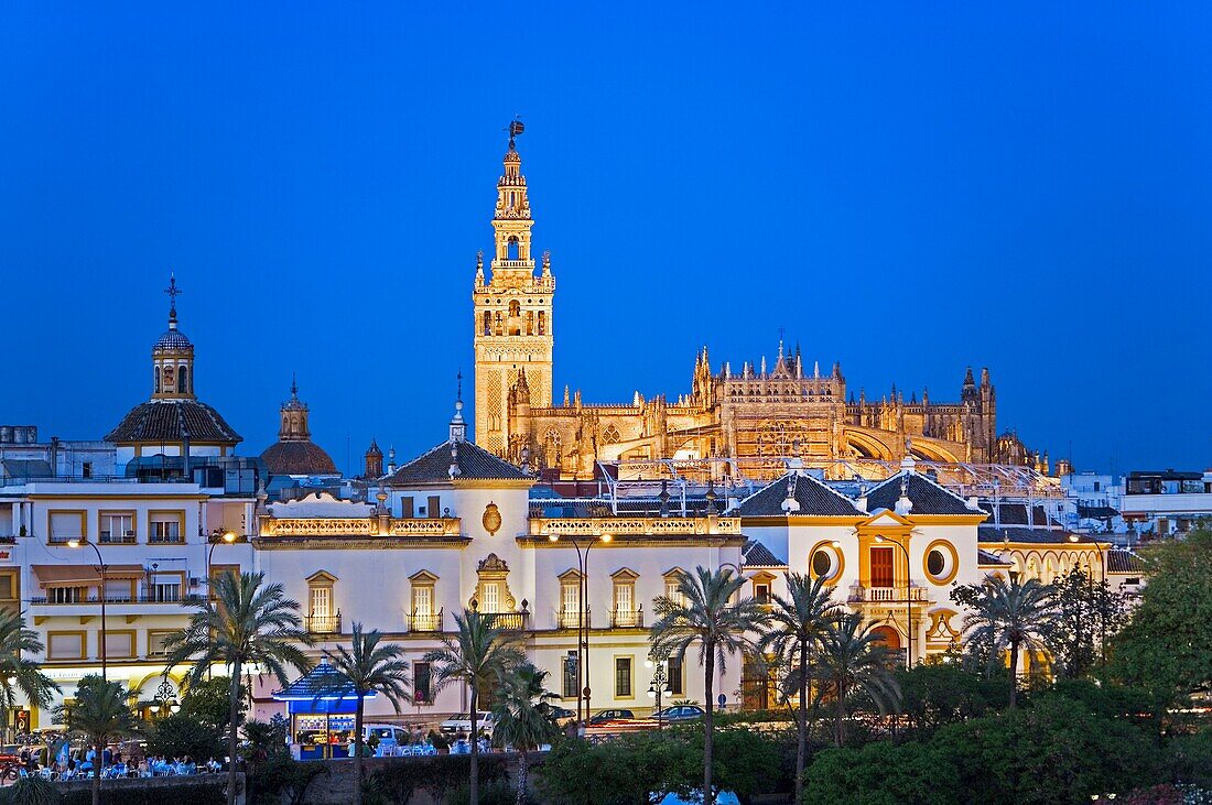 Cathedral and Maestranza Bullring  Seville, Andalusia, Spain