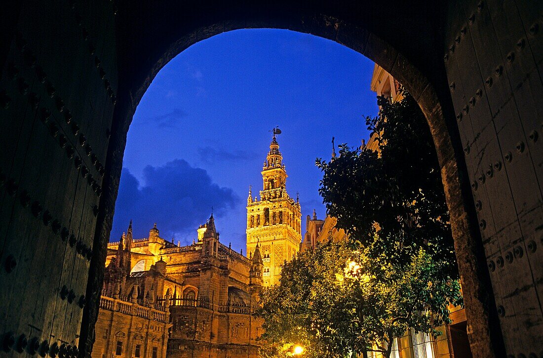 Cathedral as seen from the Royal Alcazar Courtyard of Banderas  Seville, Andalusia, Spain