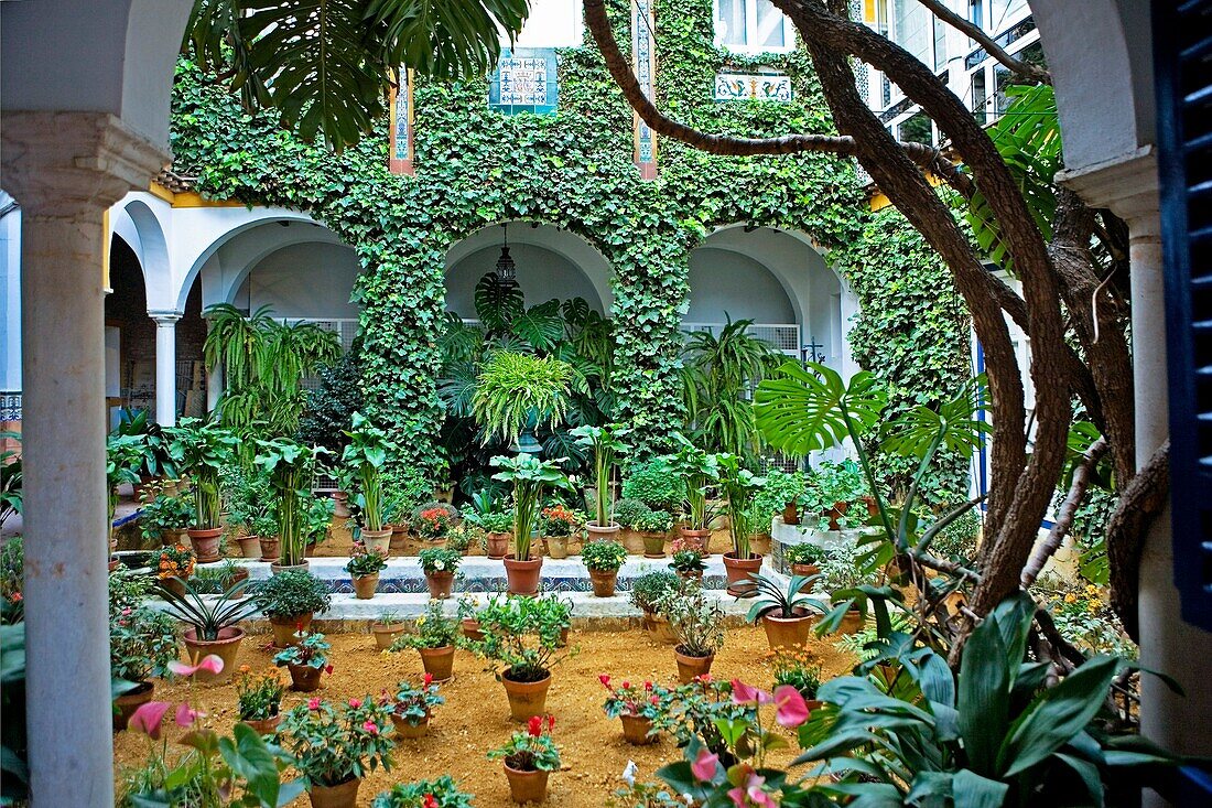 Typical courtyard in Santa Cruz quarter  Seville, Andalusia, Spain