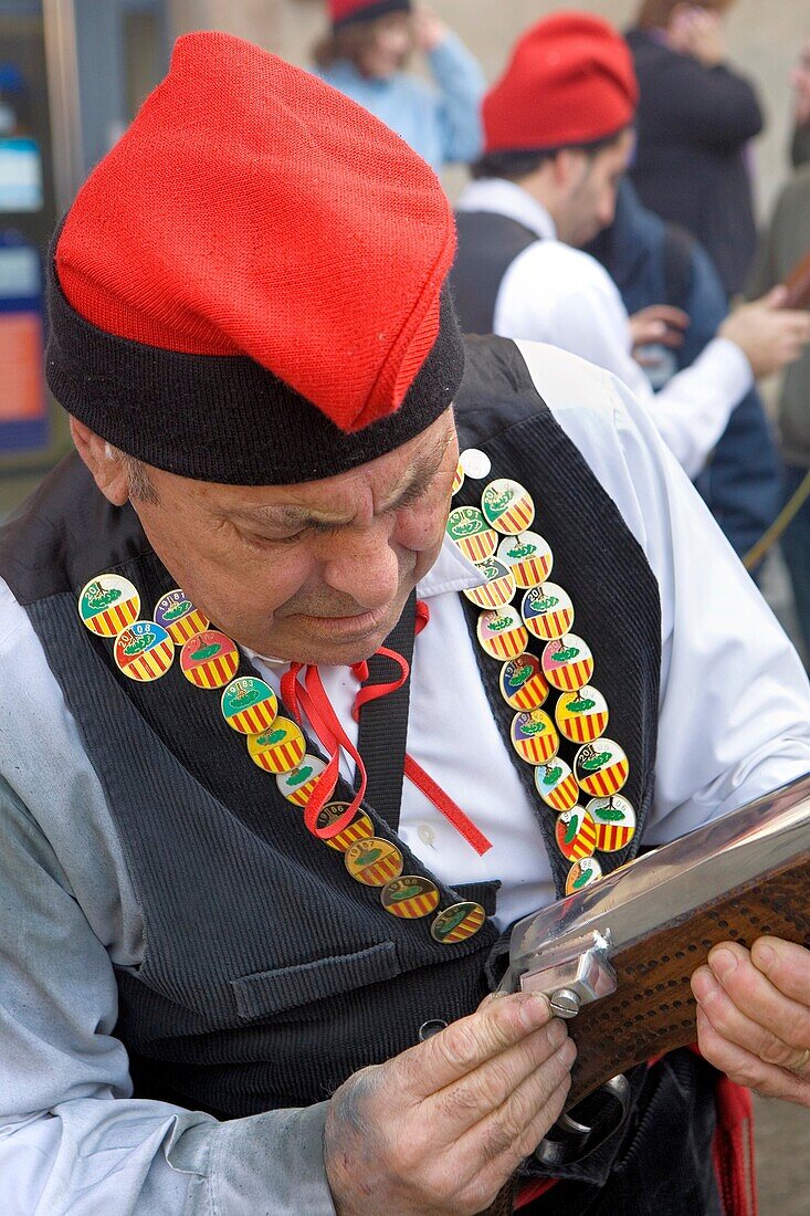 Pine festival, Centelles, Barcelona province, Catalonia, Spain