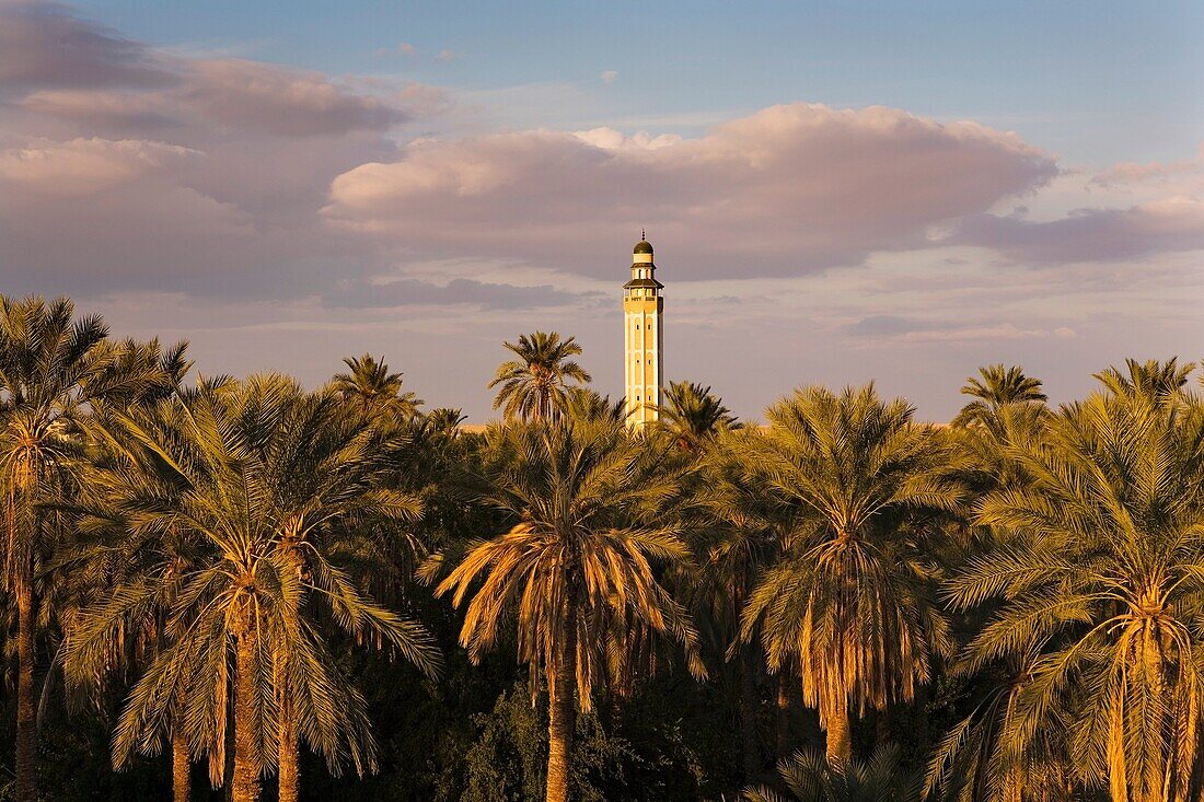 Tozeur Oasis  Minaret of Sidi Abdallah Bou Jemra