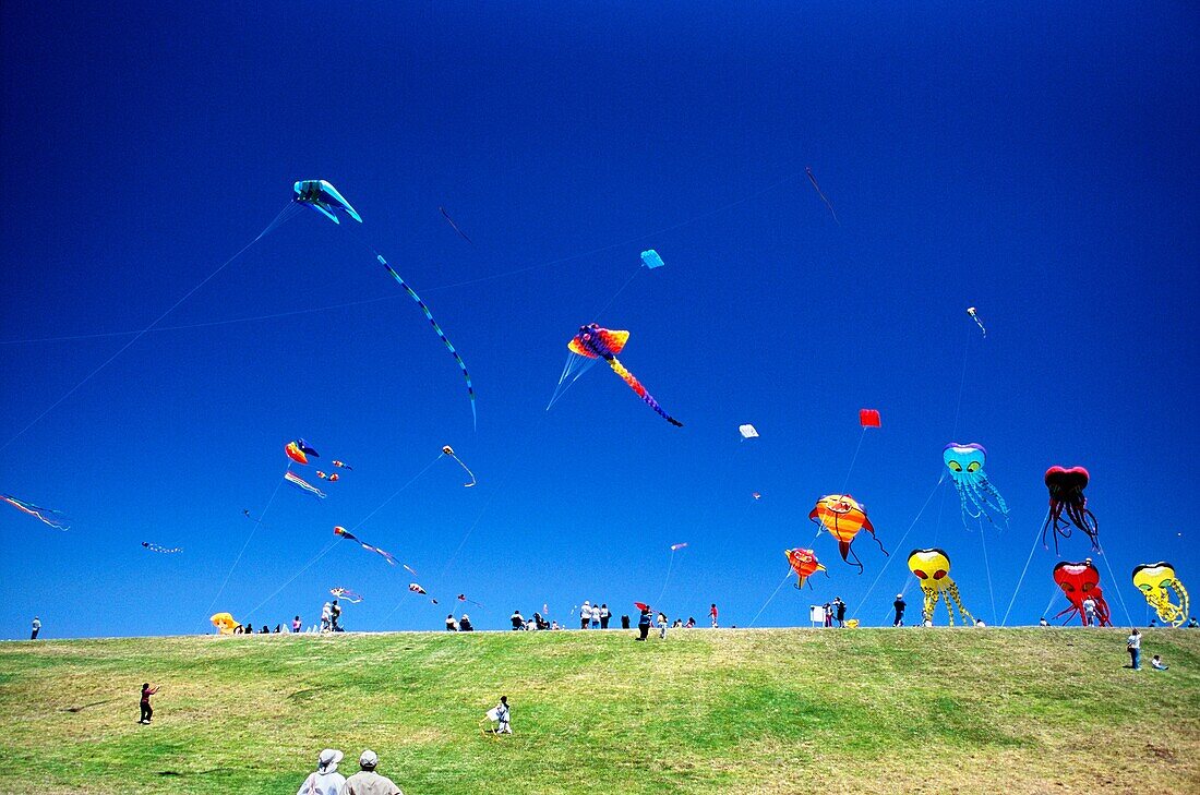 Giant kites above the hillside at the Berkeley kite festival