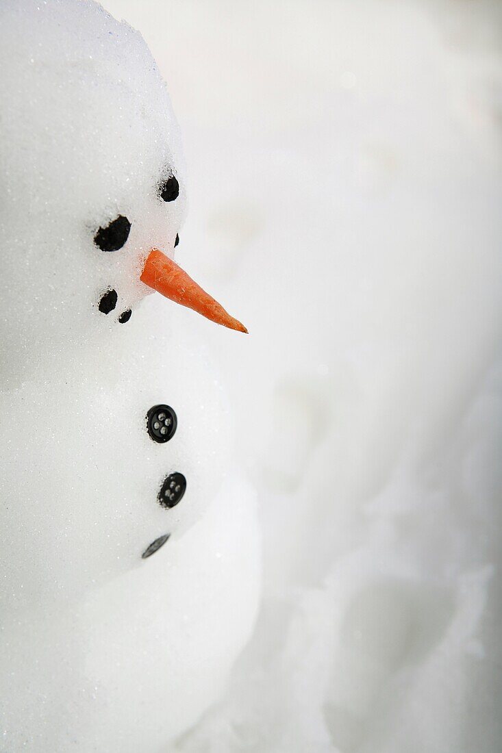 Snowman