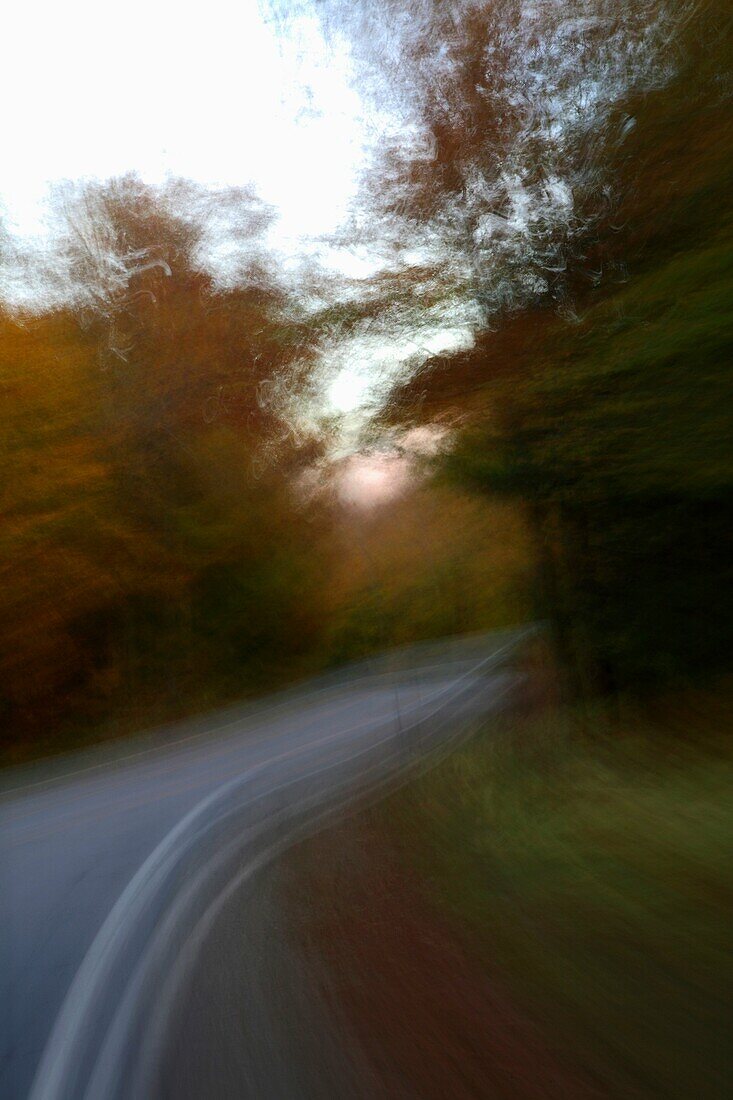 Motion Blurred Road